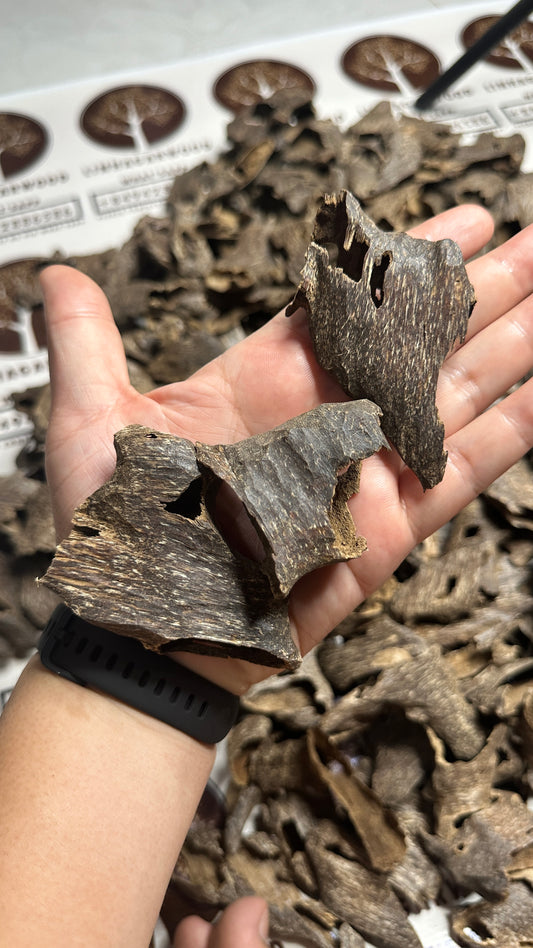 Vietnamese Oud Shells Qawaqie Rarities VIP Grade