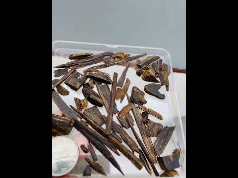 Philippins Oud Leyte VIP Quality Underwater Rarities